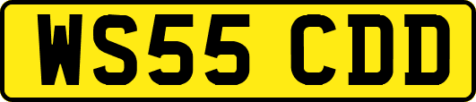 WS55CDD
