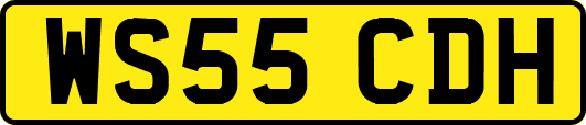WS55CDH