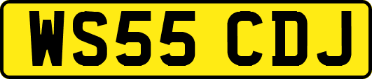 WS55CDJ