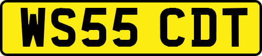 WS55CDT