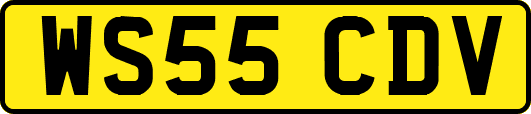 WS55CDV