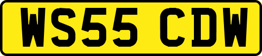 WS55CDW