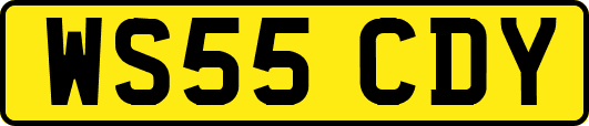 WS55CDY