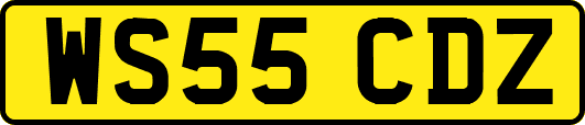 WS55CDZ