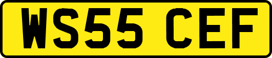 WS55CEF