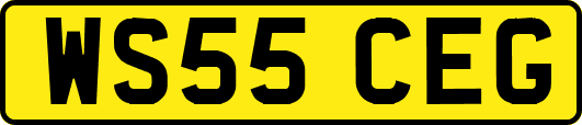 WS55CEG