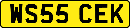 WS55CEK