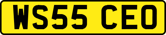 WS55CEO