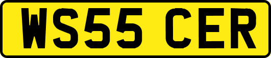 WS55CER