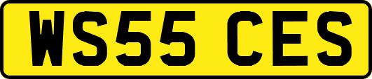WS55CES