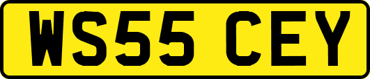 WS55CEY