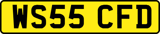 WS55CFD