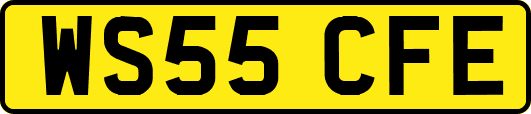 WS55CFE