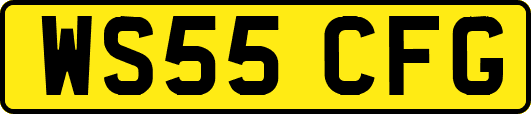WS55CFG