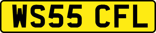 WS55CFL