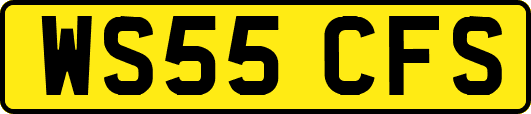 WS55CFS