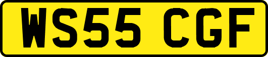 WS55CGF