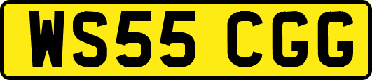 WS55CGG