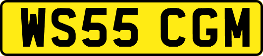 WS55CGM