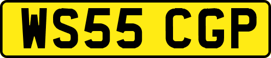 WS55CGP