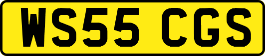 WS55CGS