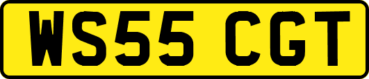 WS55CGT