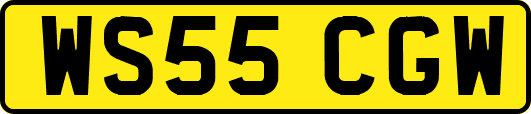 WS55CGW