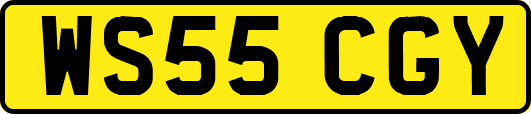 WS55CGY