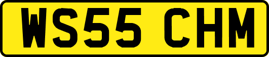 WS55CHM
