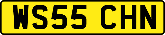 WS55CHN