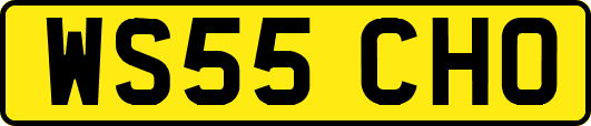 WS55CHO