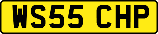 WS55CHP