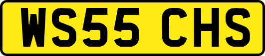 WS55CHS