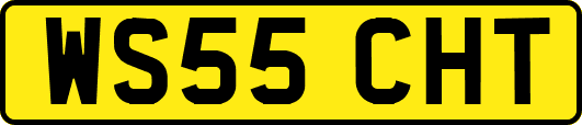 WS55CHT