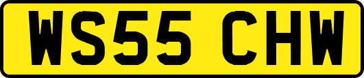 WS55CHW