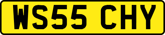 WS55CHY