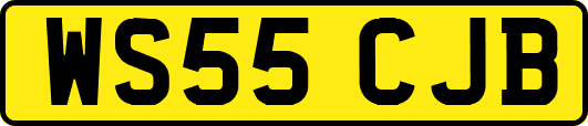 WS55CJB