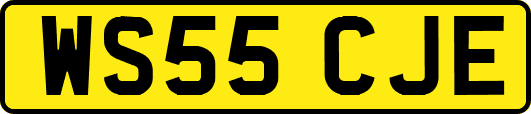 WS55CJE