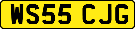 WS55CJG