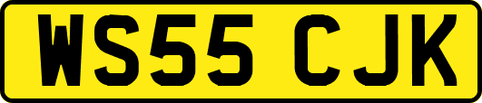 WS55CJK
