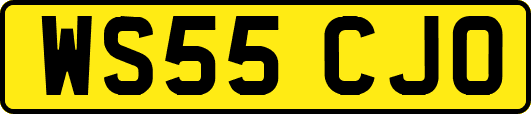 WS55CJO