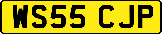 WS55CJP