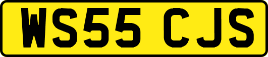 WS55CJS