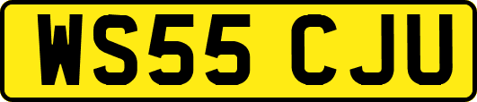 WS55CJU
