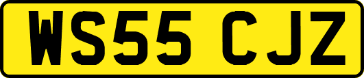 WS55CJZ