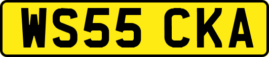 WS55CKA