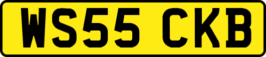 WS55CKB
