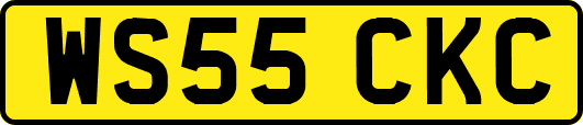 WS55CKC