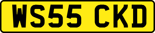 WS55CKD