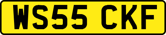 WS55CKF